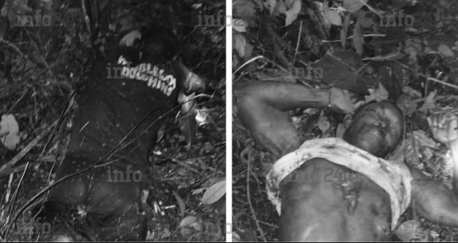 Gabon&nbsp;: Deux villageois tués et éventrés par un éléphant sur leur plantation à Ngowé