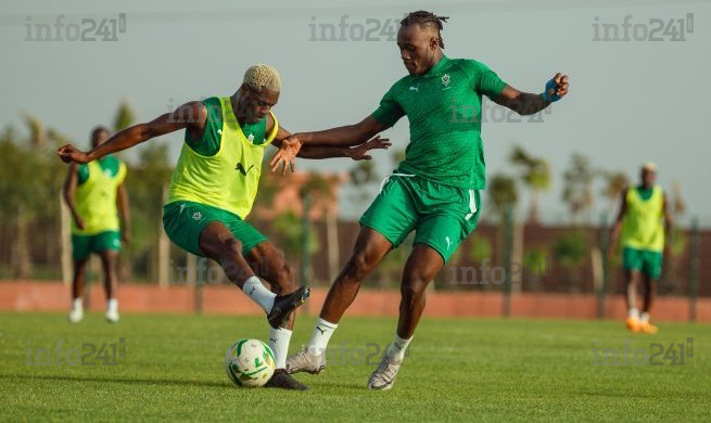 Mondial 2026 : Les Panthères du Gabon déjà en Côte d’Ivoire pour défier le champion d’Afrique