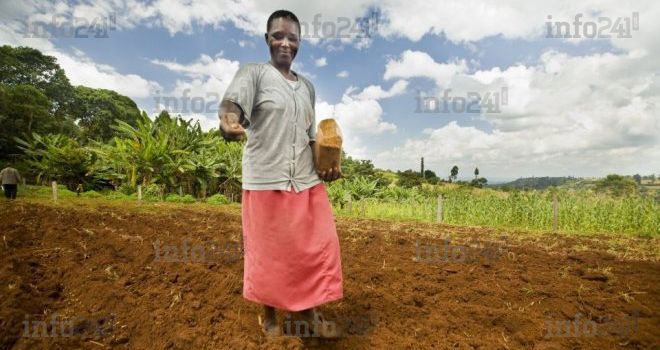 La malnutrition en Afrique centrale va doubler entre 2014 et 2016