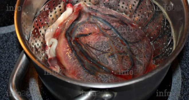Sert-il à quelque chose de manger son placenta&nbsp;?