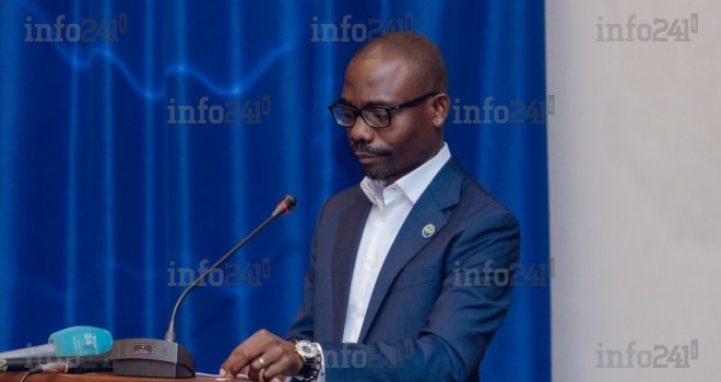 Législatives et locales 2025&nbsp;: Quels sont les candidats investis par l’UDB d’Oligui Nguema&nbsp;?