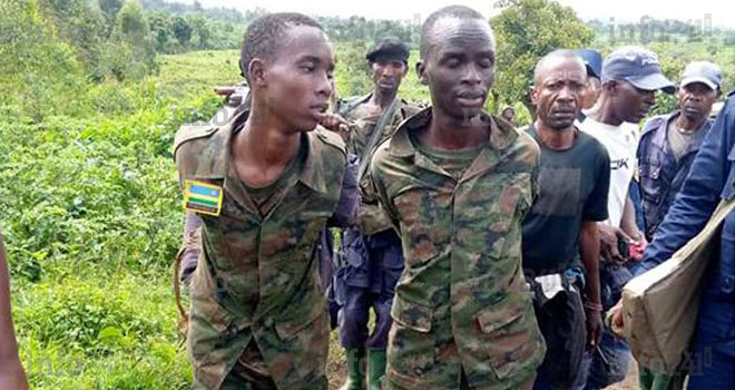 Tensions RDC/Rwanda&nbsp;: Deux soldats rwandais capturés dans l’est de la RDC
