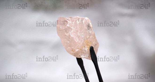 Angola&nbsp;: «&nbsp;La rose de Lulo&nbsp;», un diamant rose de 170 carats découvert dans une mine