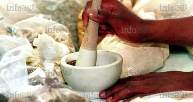 L’OMS pour une médecine traditionnelle africaine 