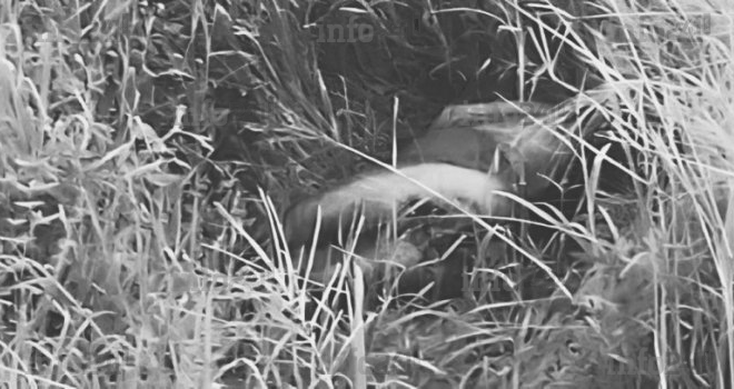 Gabon&nbsp;: Une femme retrouvée morte et nue à Akanda, la psychose gagne le Grand Libreville