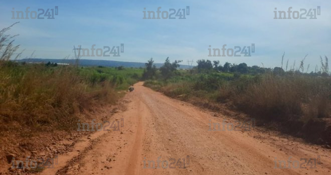 RDC&nbsp;:  Deux militaires tués et deux Chinois enlevés par des coupeurs de route