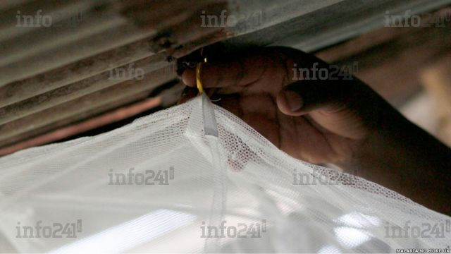 Installation de moustiquaire et entretien&nbsp;: conseils utiles