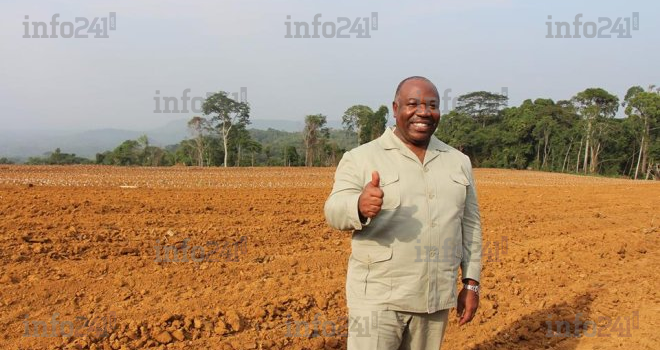 Projet «&nbsp;GRAINE&nbsp;» au Gabon&nbsp;: cet autre scandale financier, écologique et humain  d’Ali Bongo