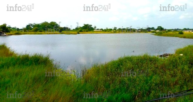 Port-Gentil&nbsp;: Cocufié à la Saint-Valentin, un gabonais tente de se suicider dans un lac