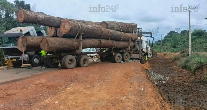Okolassi&nbsp;: Un blessé grave après la collision d’un camion avec un grumier