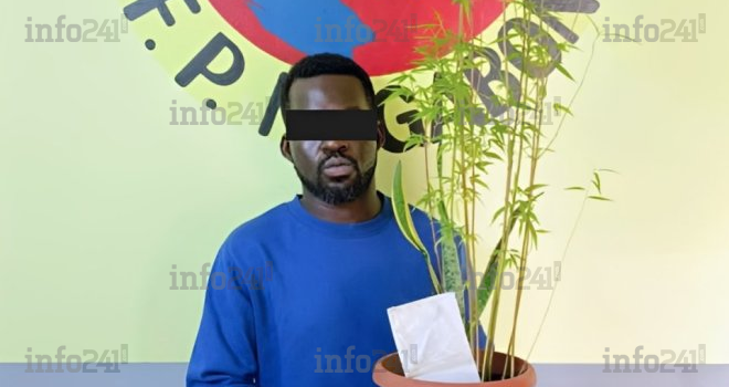 Coup de filet à l’USTM&nbsp;: Un étudiant reconverti en dealer, écroué pour trafic de cannabis à Franceville