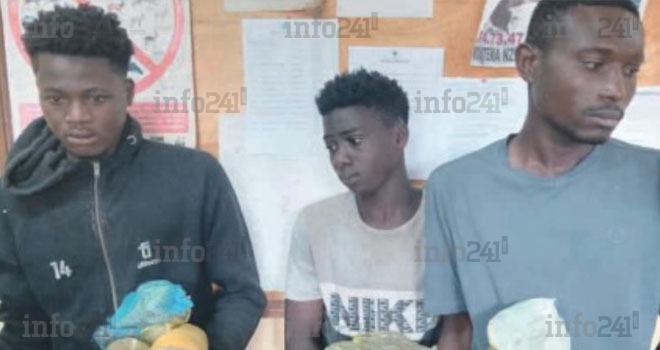 Moanda&nbsp;: Trois jeunes gabonais dealers de drogue, arrêtés avec 27 bottes de chanvre indien