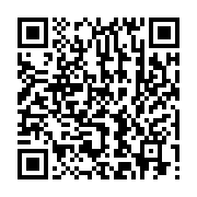 qrcode:https://thegabon.com/gabon-ce-que-revele-vraiment-la-chute-de-brice-laccruche,4799