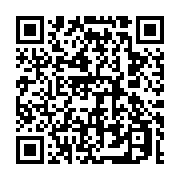 qrcode:https://thegabon.com/firmain-ollo-obiang-l-opposition-gabonaise-doit-eviter-la,3349