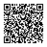 qrcode:https://thegabon.com/quand-les-gabonais-se-surprennent-a-rever-des-quarts-de-finale,6557