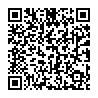 qrcode:https://thegabon.com/gabon-africa-united-airlines-vole-au-secours-d-un-bebe-chimpanze,10795