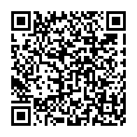 qrcode:https://thegabon.com/mouila-un-gorille-qui-y-semait-la-panique-finit-sa-course-dans,8551