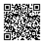 qrcode:https://thegabon.com/nigeria-6-enfants-tues-par-erreur-au-cours-d-un-raid-aerien,1307