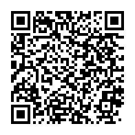 qrcode:https://thegabon.com/crise-a-reagir-et-faux-semblants-en-politique-au-gabon-michel,9956