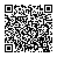 qrcode:https://thegabon.com/grand-libreville-et-delestages-karpowership-coupe-le-courant-et,11677