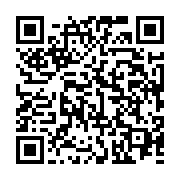 qrcode:https://thegabon.com/afrique-du-sud-les-brics-definissent-les-parametres-de-l,1845