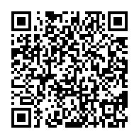 qrcode:https://thegabon.com/deux-elephants-qui-semaient-la-terreur-a-moabi-abattus-par-des,1417