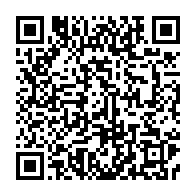 qrcode:https://thegabon.com/la-diaspora-gabonaise-de-lyon-pour-un-gabon-libre-structure-sa,2311