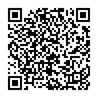 qrcode:https://thegabon.com/mboumba-nziengui-et-bekale-nze-a-la-rescousse-du-gouvernement,1271