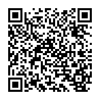 qrcode:https://thegabon.com/flash-player-faut-il-craindre-pour-la-securite-de-son-ordinateur,1133