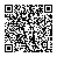 qrcode:https://thegabon.com/crimes-coloniaux-au-niger-paris-ouvert-au-dialogue-mais-toujours,2484