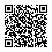 qrcode:https://thegabon.com/pour-fefe-onanga-jean-ping-et-les-autres-opposants-sont-des,7920