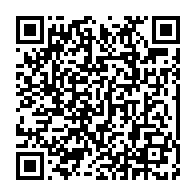 qrcode:https://thegabon.com/les-images-de-la-manif-parisienne-pour-la-liberation-d-annie-lea,952