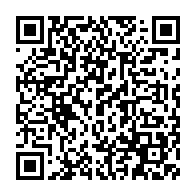 qrcode:https://thegabon.com/soudan-une-frappe-de-drone-meurtriere-fait-au-moins-28-morts-sur,2841