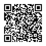 qrcode:https://thegabon.com/politique-spectacle-des-structures-passives-de-l-afrique,1314