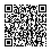 qrcode:https://thegabon.com/gabon-les-failles-methodologiques-du-plan-national-de,11748