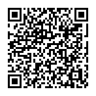 qrcode:https://thegabon.com/greve-illimitee-a-l-artf-salaires-impayes-owendo-sur-les-rails,2680