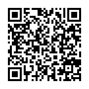 qrcode:https://thegabon.com/france-des-incidents-eclatent-a-paris-apres-la-reelection-d,6831
