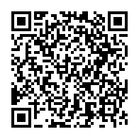 qrcode:https://thegabon.com/les-chats-video-aleatoires-font-passer-les-rencontres-en-ligne-a,8338