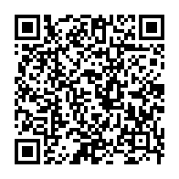 qrcode:https://thegabon.com/port-gentil-zepeckinio-un-celebre-jeune-braqueur-a-la-machette,8482