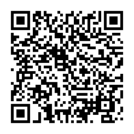 qrcode:https://thegabon.com/rdc-vs-gabon-l-avion-des-pantheres-bloque-en-espagne-pour-un,6964