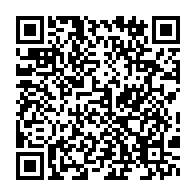 qrcode:https://thegabon.com/pole-incubateur-d-entrepries-tic-si-nous-travaillons-en-synergie,1348