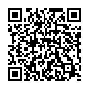qrcode:https://thegabon.com/filiation-d-ali-bongo-l-union-nationale-traine-devant-les,1570