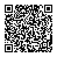 qrcode:https://thegabon.com/comment-la-young-team-de-noureddin-bongo-a-derobe-deux-grands,8347
