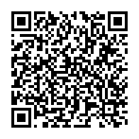 qrcode:https://thegabon.com/jean-ping-rassure-la-diaspora-gabonaise-de-l-europe-a-paris-sur,792