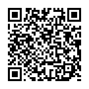 qrcode:https://thegabon.com/togo-4-candidats-opposes-a-faure-gnassingbe-pour-la,817