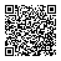 qrcode:https://thegabon.com/un-proche-de-brice-fargeon-apprehende-a-bord-d-un-avion-tentant,4789