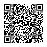 qrcode:https://thegabon.com/etats-unis-un-bebe-afro-americain-d-un-an-blesse-par-la-police,756