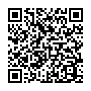 qrcode:https://thegabon.com/legislatives-2025-rostand-mickael-engonga-ella-udb,2591