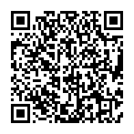 qrcode:https://thegabon.com/candidature-unique-de-l-opposition-gabonaise-de-la-folie-des,1593