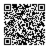 qrcode:https://thegabon.com/grand-libreville-dans-le-noir-la-seeg-annonce-un-incident-majeur,9374